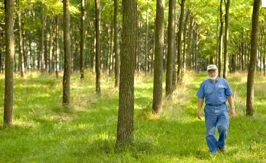 In his lifetime, Jay Lehman has planted tens of thousands of trees. 