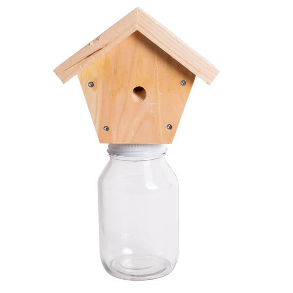 Outdoor Carpenter Bee Trap 