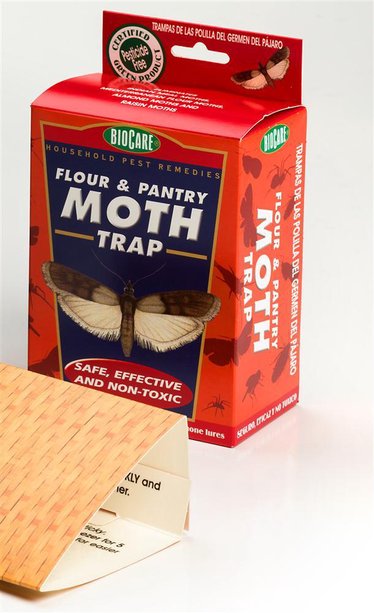 Pantry Moth Trap