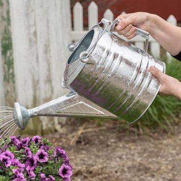 Small Galvanized Watering Can