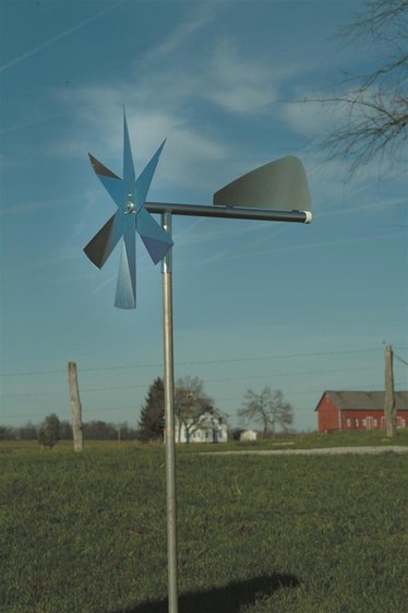 Mole Chasing Windmill | Lehman's