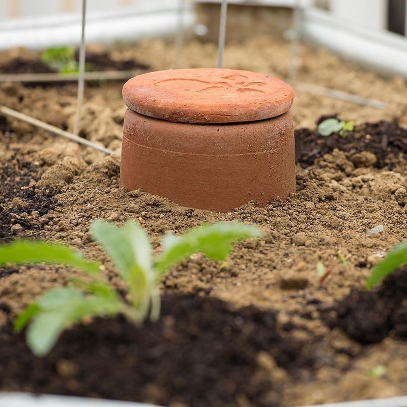 Buy wholesale Olla terracotta to bury 3L vegetable garden watering  ecological craftsmanship