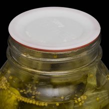 Canning Jar Lids - Reusable - Wide Mouth (24)