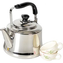 Stainless Steel Spout Kettle - 1 Gallon