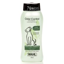 Natural Shampoos for Dogs