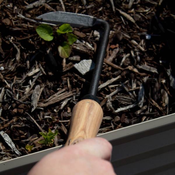 Cape Cod Hand Weeder with Short Handle Lehman's