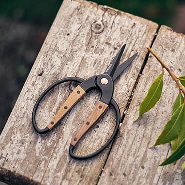 Gardener's Scissors - Small