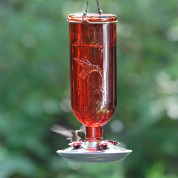 Hummingbird Red Vintage-Style Bottle Feeder 16 oz