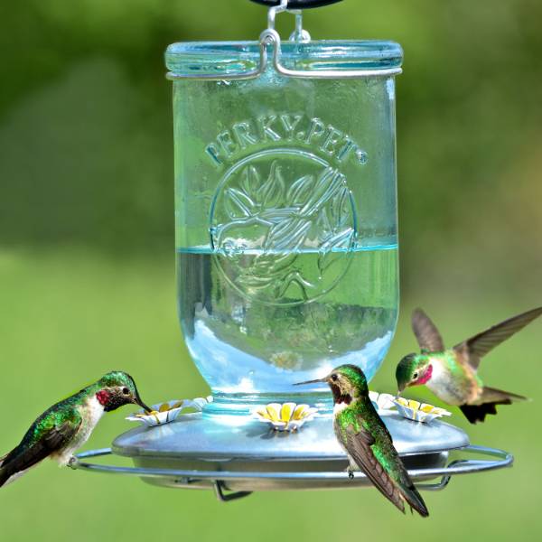 Blue Mason Jar Hummingbird Feeder