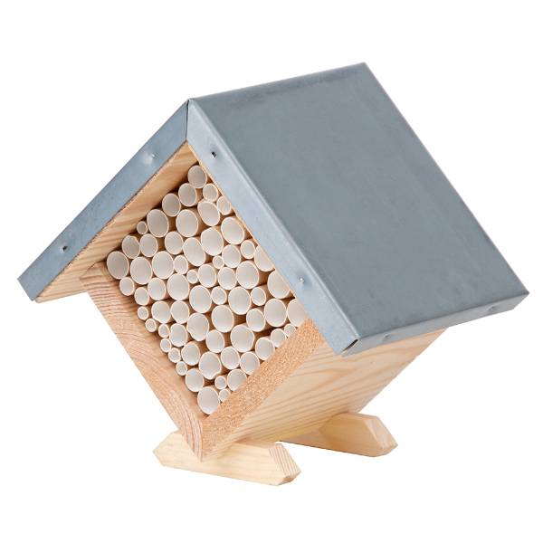 Square Bee House