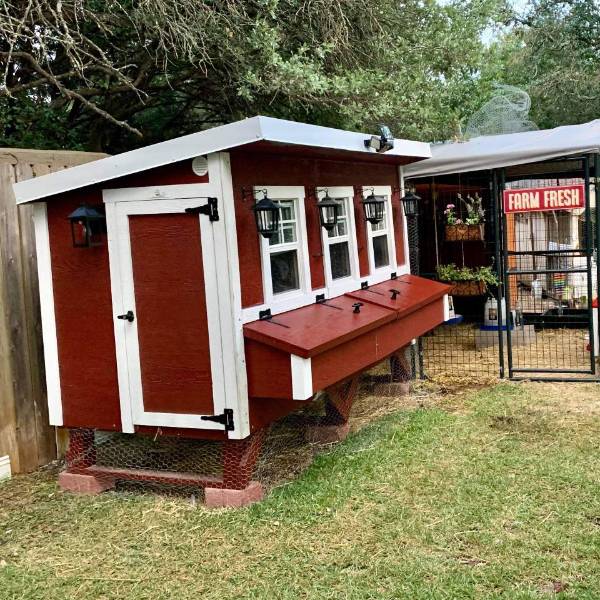 OverEZ Chicken Coop, Amish Made Lehman's