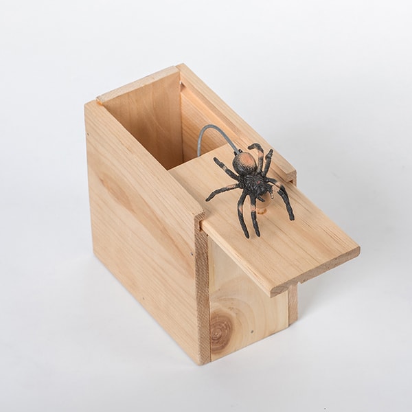 Spider Box Surprise