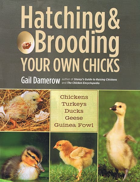 Hatching and Brooding Your Own Chicks Book
