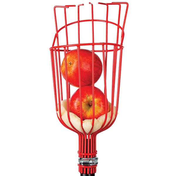 Replacement Head for Fruit Harvester Tool