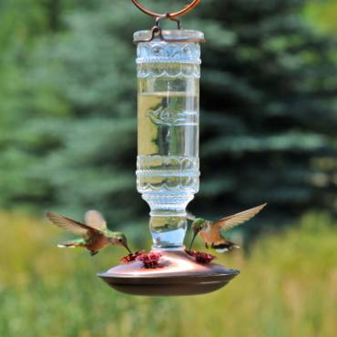 Hummingbird Clear Vintage-Style Bottle Feeder 10 oz