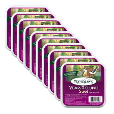 High Energy Suet - Pack of 10