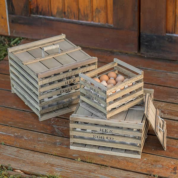 Chicken Egg Crates