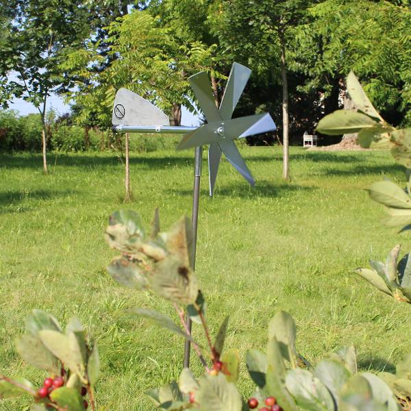 Mole Chasing Windmill Lehman's