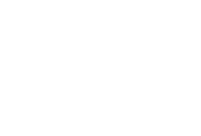Lem #10/12 Stainless Grinder Plate - 1/2