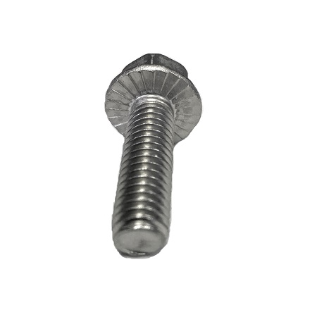Stainless Steel Serrated Flange Hex Bolt