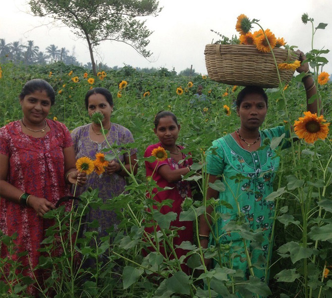 Ranphul Mahila Mandal: Flowers in the Country