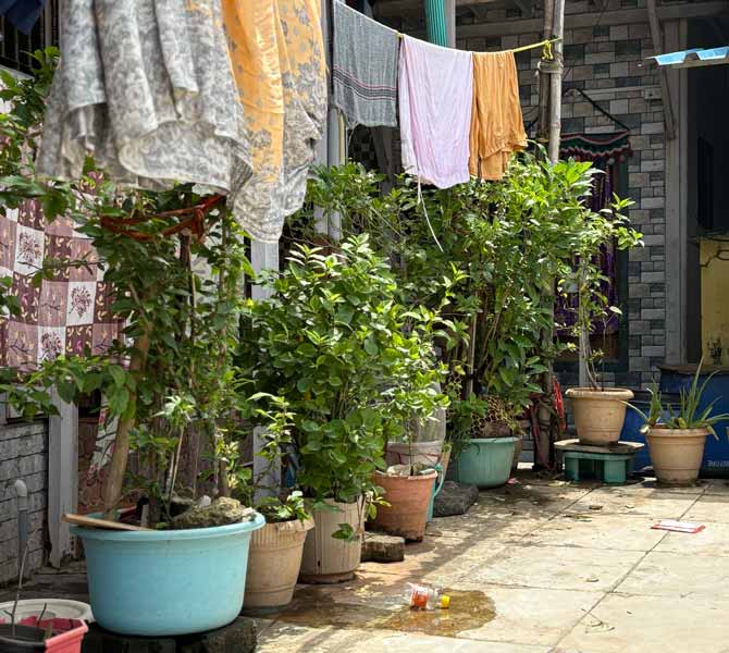 The Shared Thread Newsletter - Vol 3