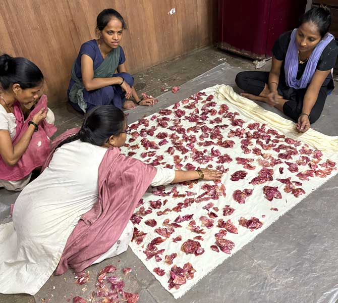 From Peel to Pattern: The Art of Natural Dyeing with Adiv