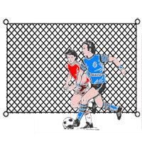 Soccer Backstop, Weather Treated