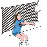 Volleyball Backstop/Barrier Net
