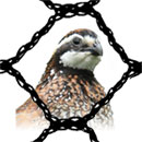 Bird Netting for Cages and Aviaries - Standard Weight -- Breaking Strength Per Mesh, 30 lbs.