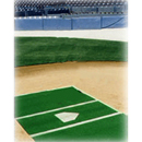 Home Plate Mat, Action Turf