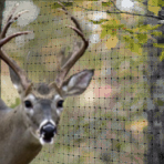 Deer Netting - Clearance