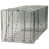 Professional Cage Traps for Small Dogs and Cats