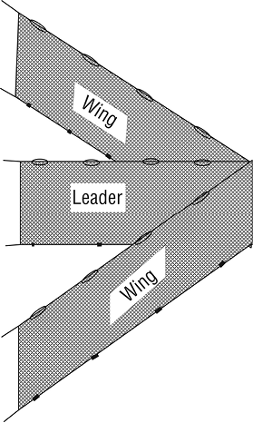 Wing, sold by the running foot.