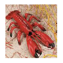 Lobster Decoration, 12 in.