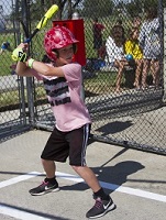 #36 Professional Batting Cage Nets