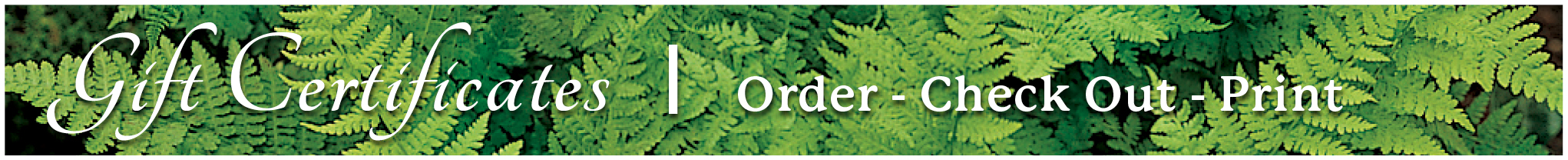 Gift Certificate