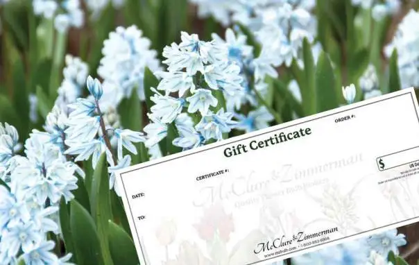 Gift Certificates