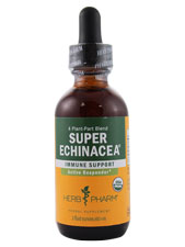 Super Echinacea