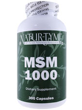 MSM 1000