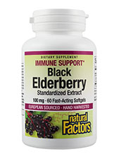 Black Elderberry Standardized Extract 100 Mg