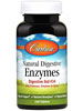 Natural Digestive Enzymes Digestive Aid #34 