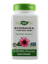 Echinacea Purpurea Herb 