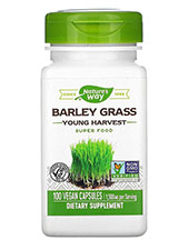 Barley Grass Young Harvest  