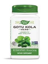 Gotu Kola Herb  