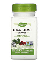 Uva Ursi Leaves 480 mg