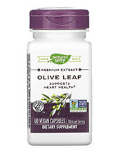 Olive Leaf  