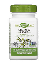 Olive Leaf  