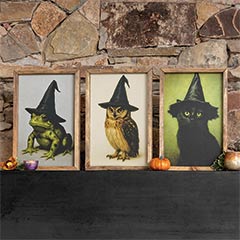 Bewitching Portrait Trio