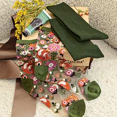Cashmere & Comfort Socks Crate